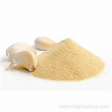 Food Grade Dry Allicin Garlic Powder